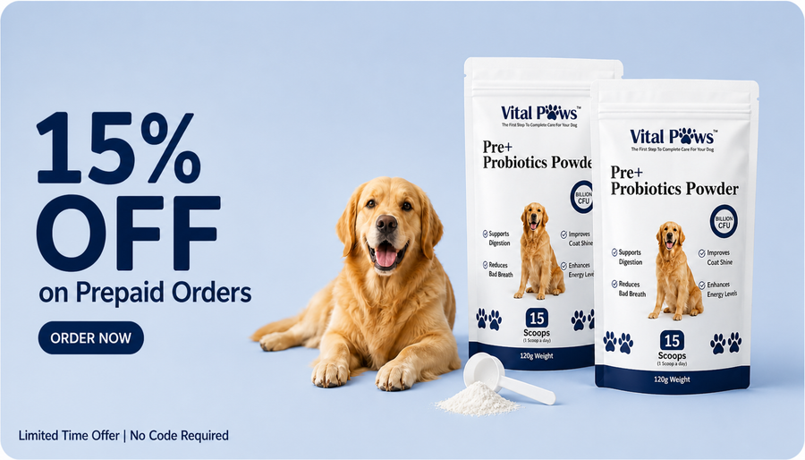 Paws Unit Vital Paws (A Unit of Pure Paws Pvt Ltd)