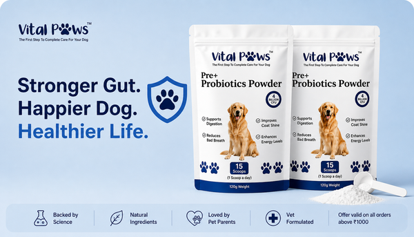 Paws Unit Vital Paws (A Unit of Pure Paws Pvt Ltd)
