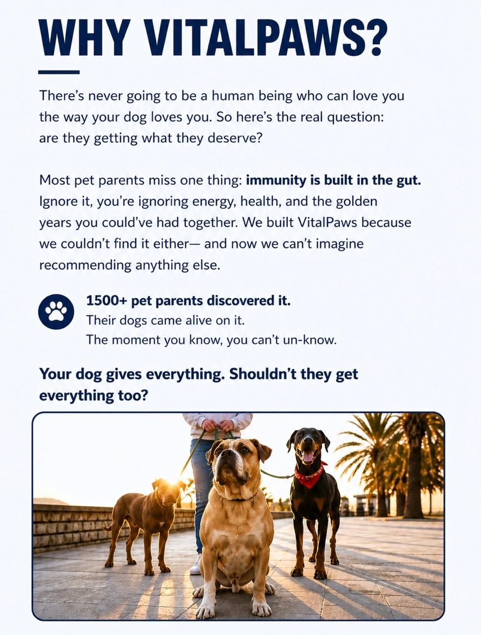 Paws Unit Vital Paws (A Unit of Pure Paws Pvt Ltd)