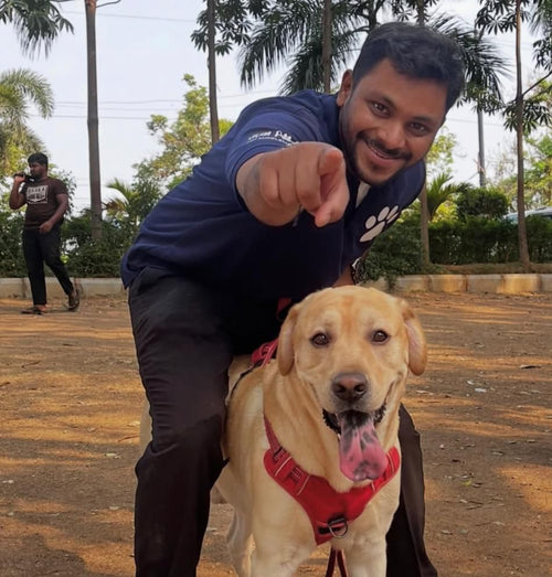 Paws Unit Vital Paws (A Unit of Pure Paws Pvt Ltd)
