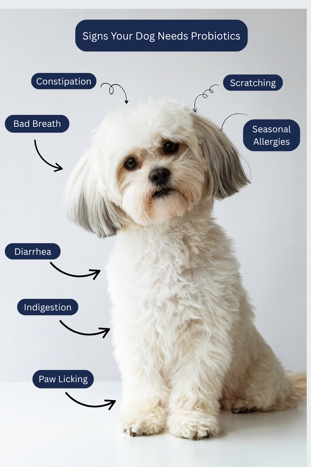 pdp5.png__PID:17debb91-2cfc-4acc-8395-a1edb72d4492