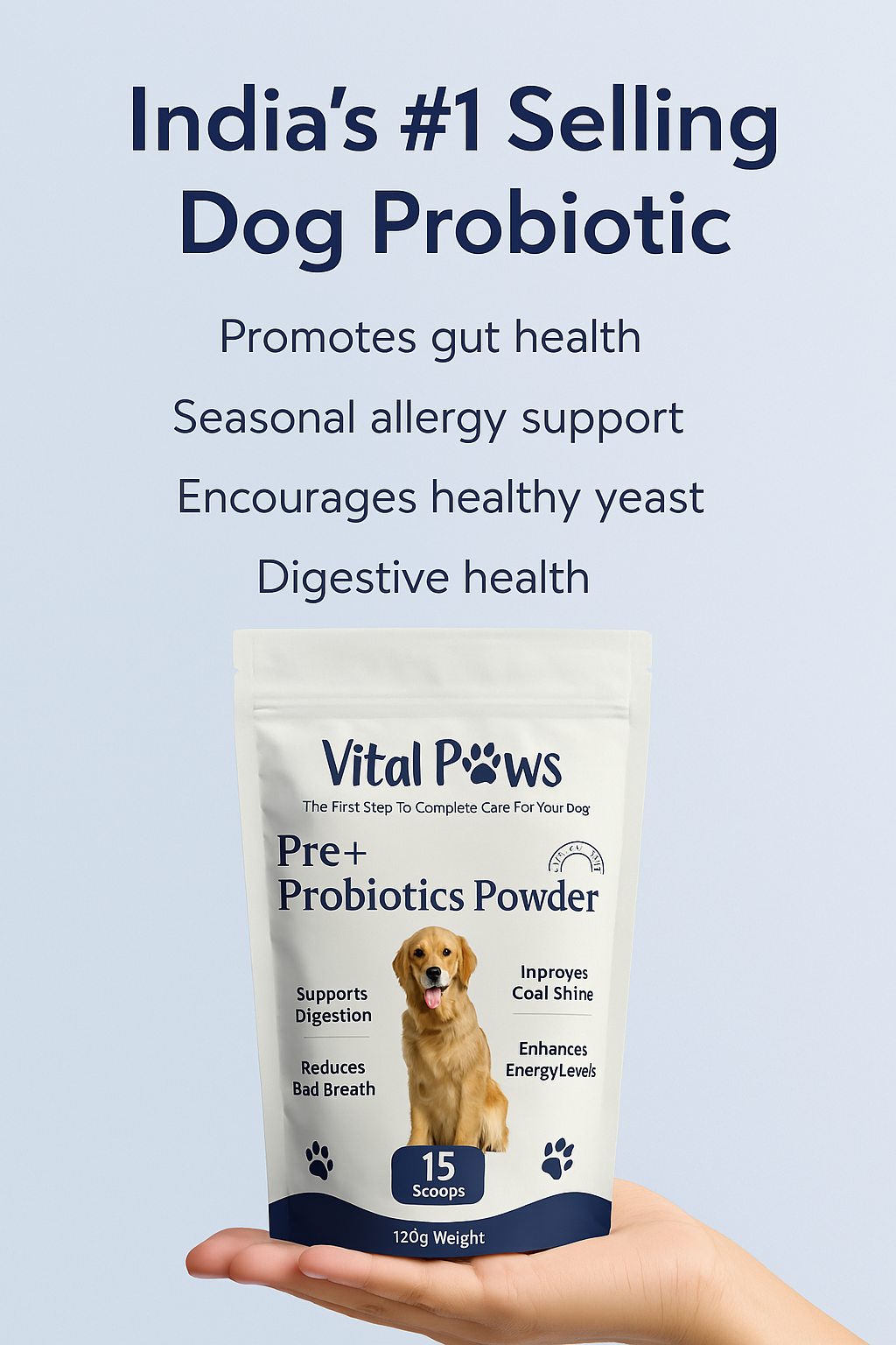 pdp 1.png__PID:2cfc1acc-4395-41ed-b72d-4492253c3d20