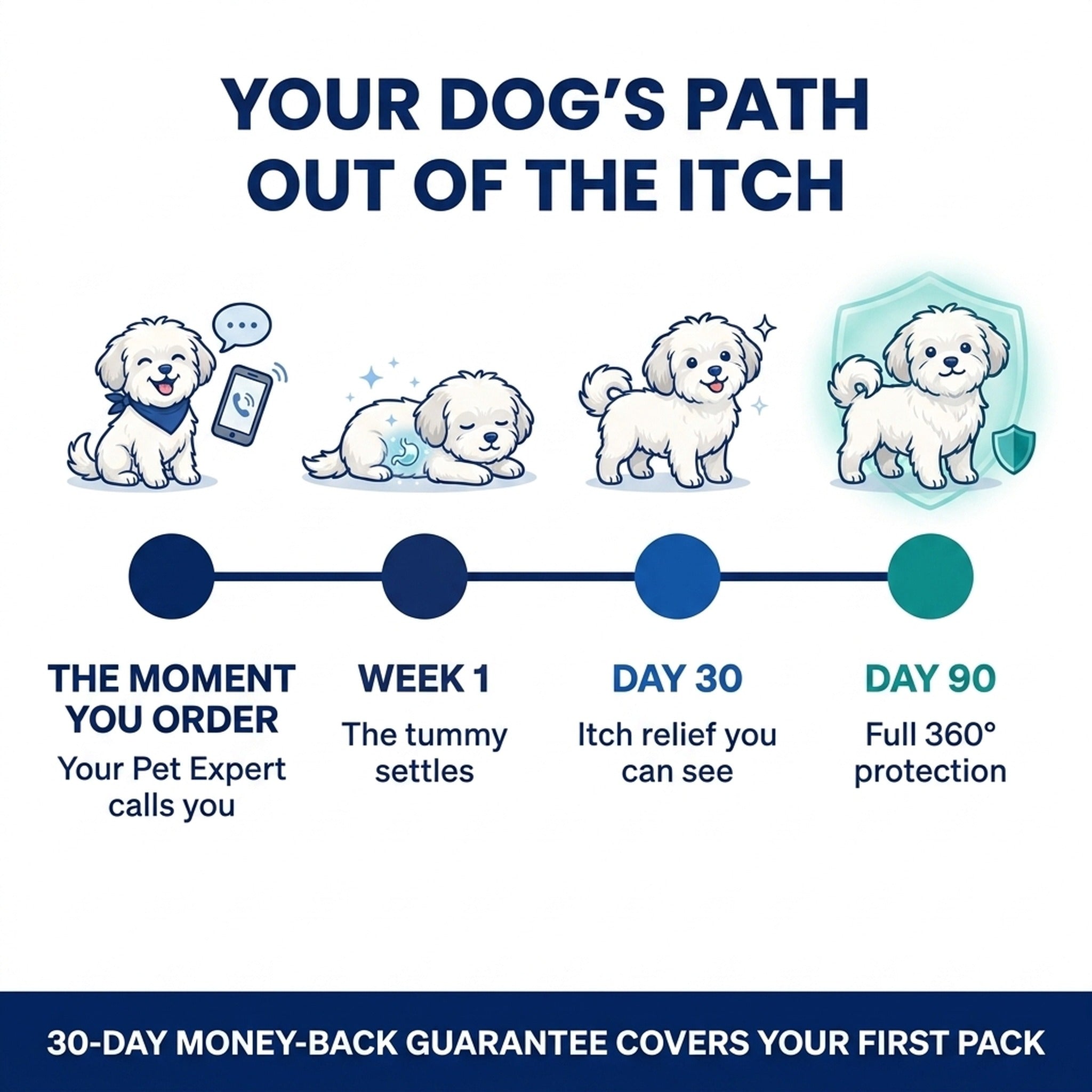 Your dog's path out of the itch — the moment you order, week 1, day 30, day 90