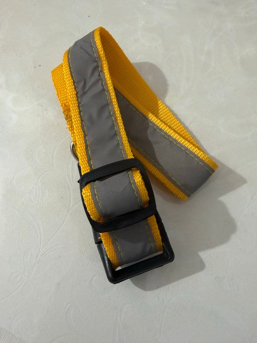 Grey and yellow reflective collar