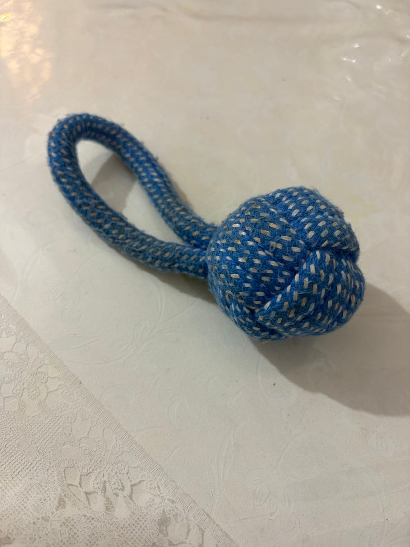 Blue rope ball toy