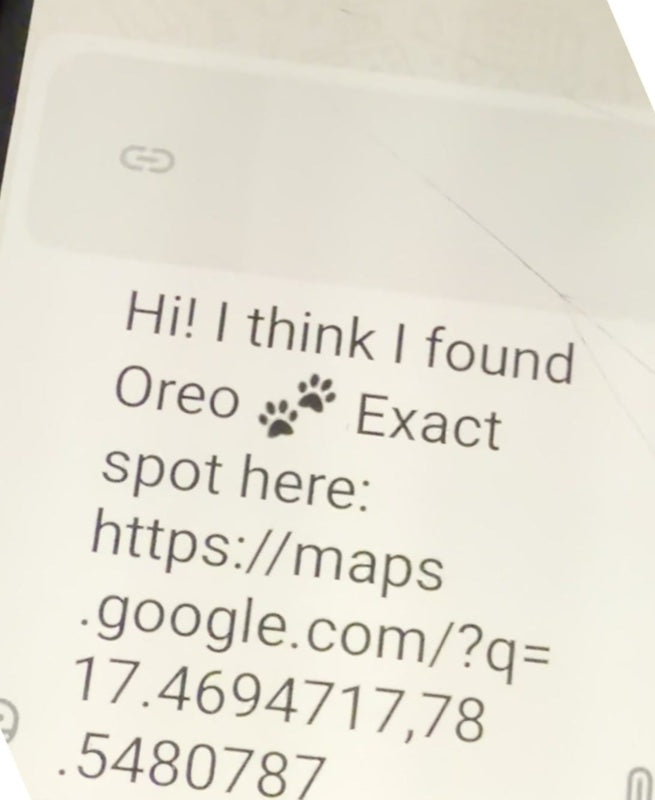 A real WhatsApp message: I think I found Oreo, exact spot here, with a Google Maps link