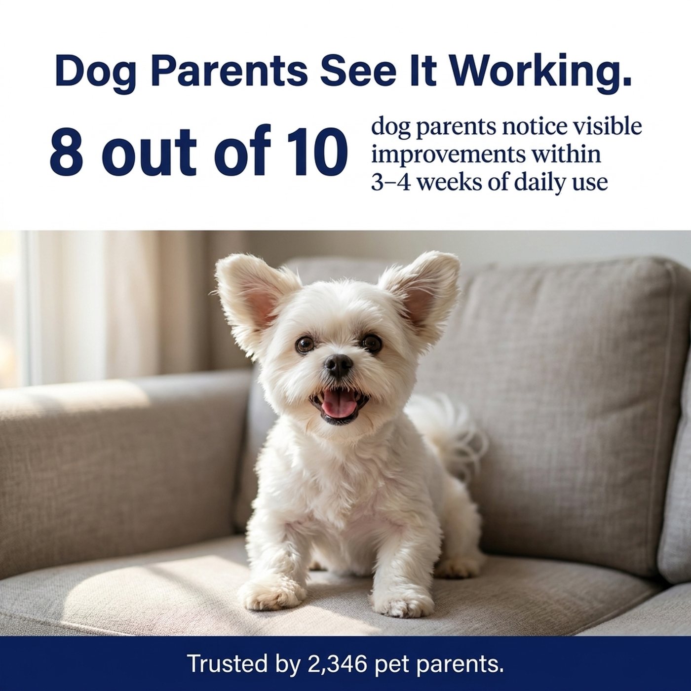 8 out of 10 dog parents notice visible improvements within 3 to 4 weeks of daily use.
