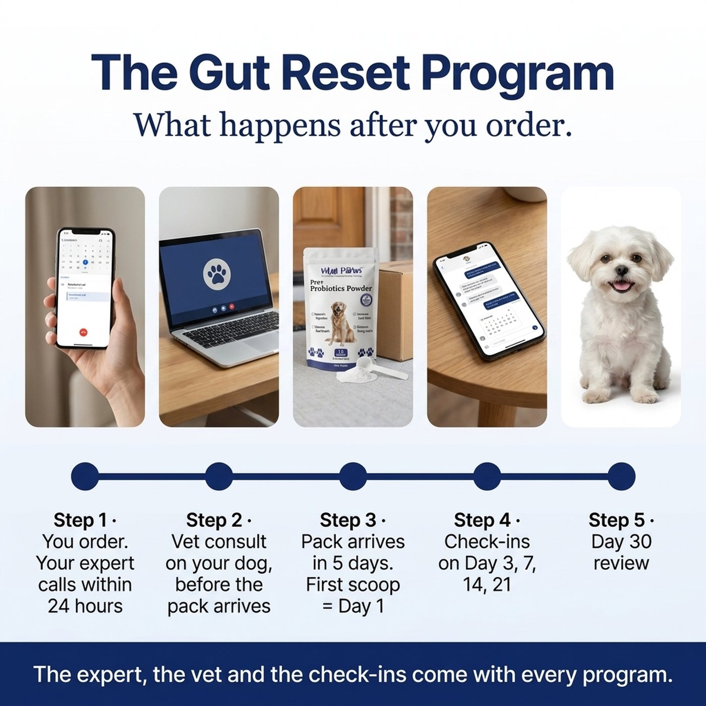 The Gut Reset Program: your Pet Care Expert calls within 24 hours, first scoop on Day 1, vet consult on Day 1 to 2, check-ins on Day 3, 7, 14, 21, review on Day 30.
