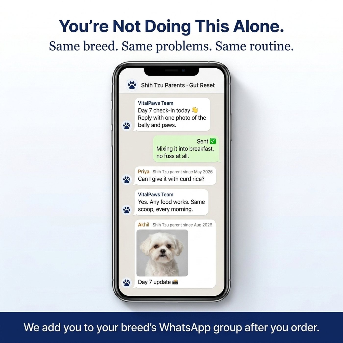 You're not doing this alone. We add you to a WhatsApp group of parents with the same breed.