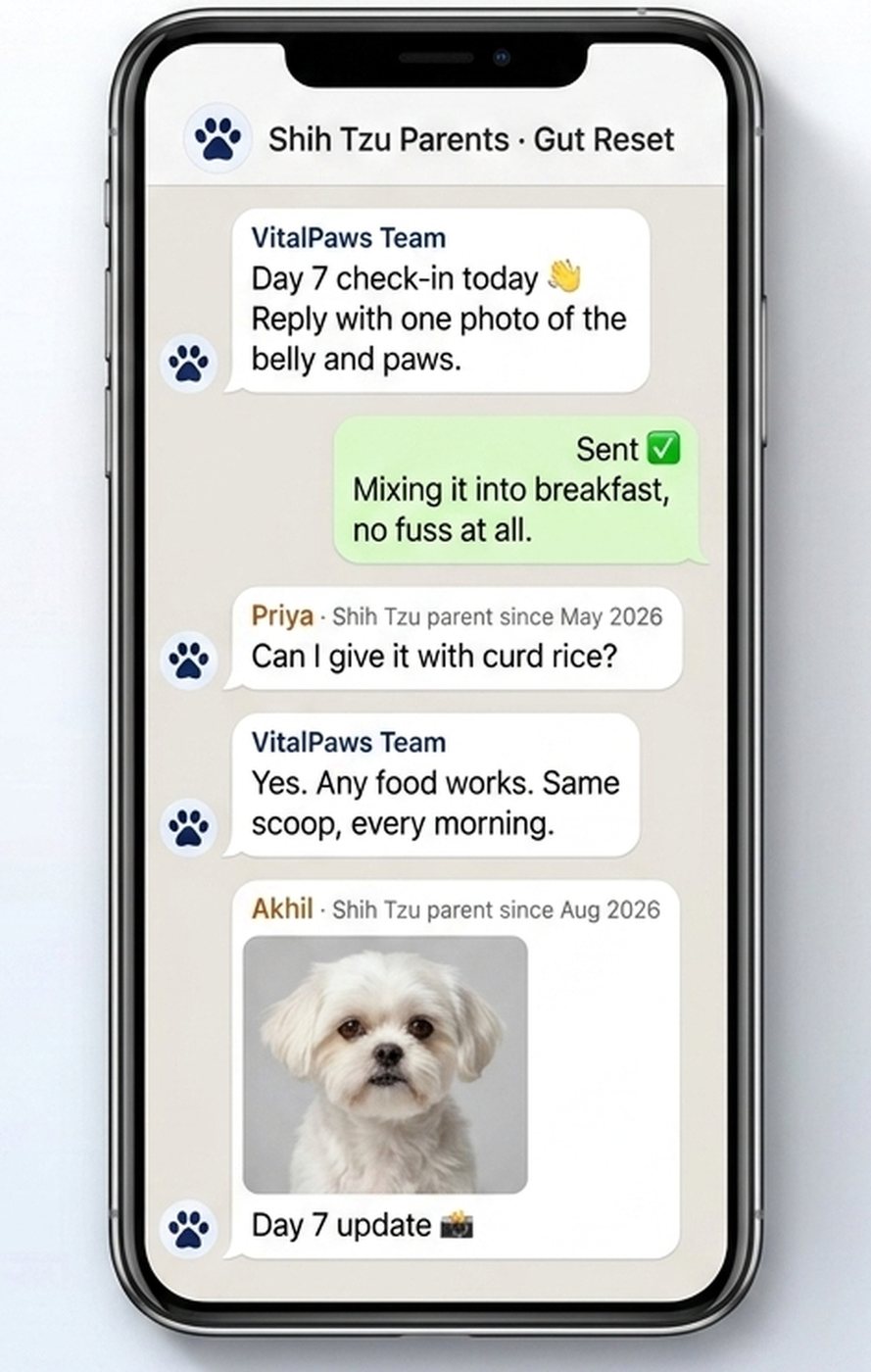 A phone showing a breed WhatsApp group