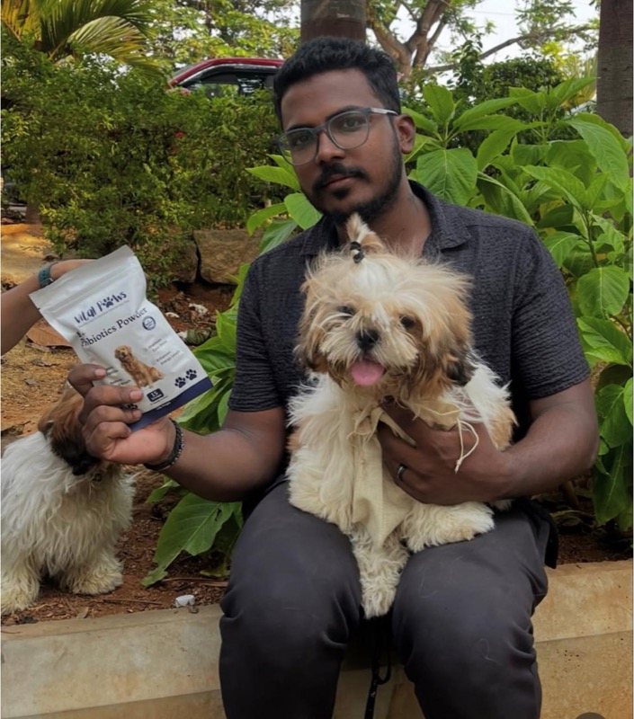 A Vital Paws team member holding a Shih Tzu and the pack