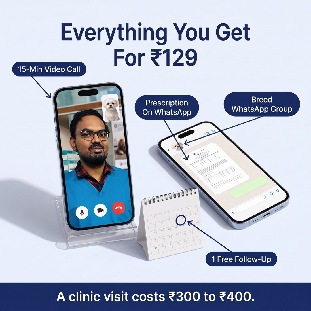 Everything you get for ₹129: a 15-minute video call, prescription on WhatsApp, breed WhatsApp group, 1 free follow-up. A clinic visit costs ₹300 to ₹400.