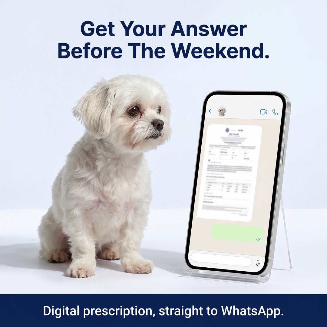 Get your answer before the weekend. Digital prescription, straight to WhatsApp.