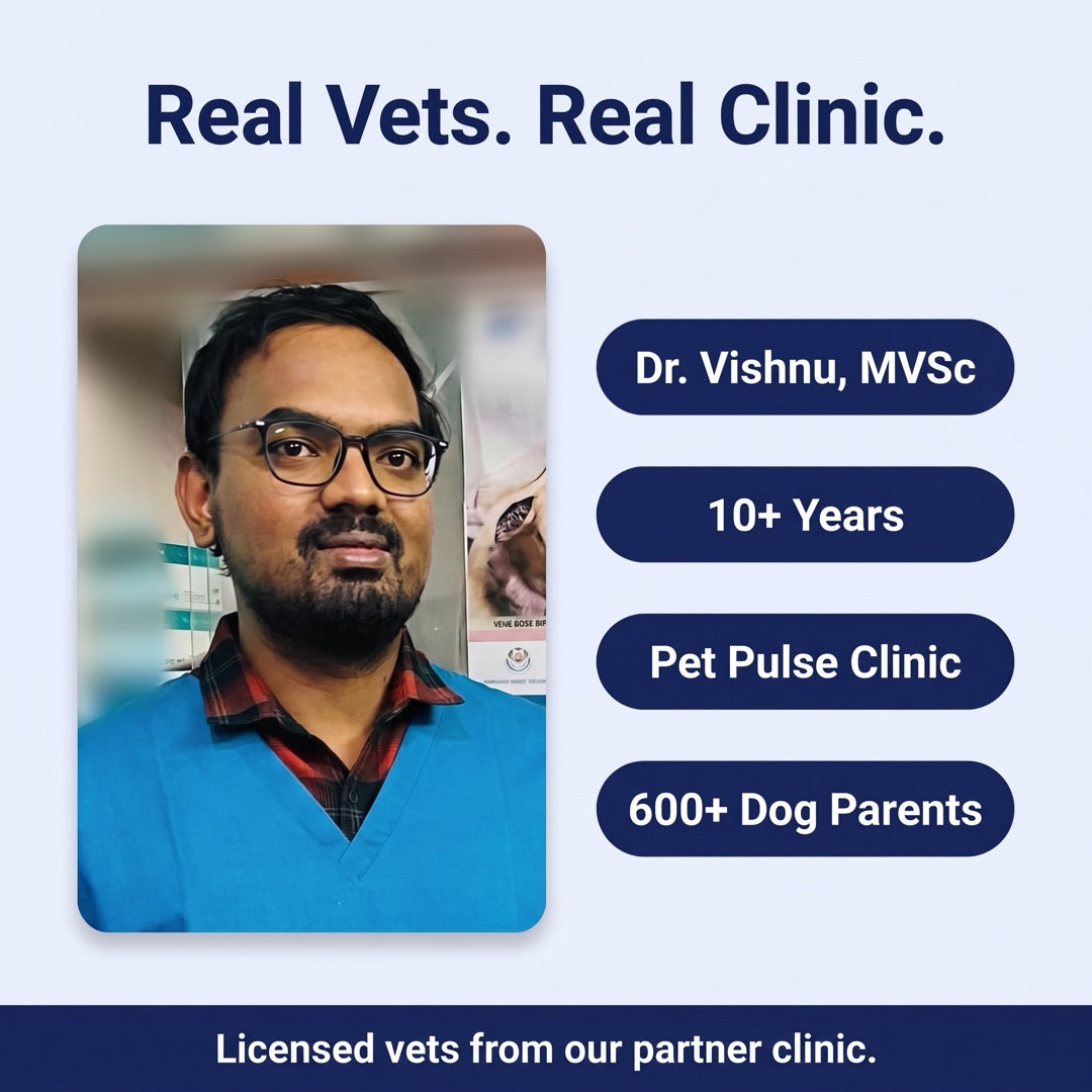 Real vets. Real clinic. Dr. Vishnu, MVSc, 10+ years, Pet Pulse Clinic, 600+ dog parents. Licensed vets from our partner clinic.