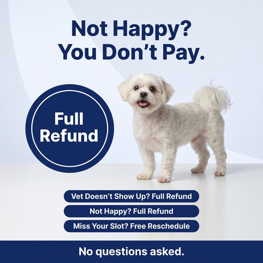 Not happy? You don't pay. Vet doesn't show up? Full refund. Not happy? Full refund. Miss your slot? Free reschedule. No questions asked.