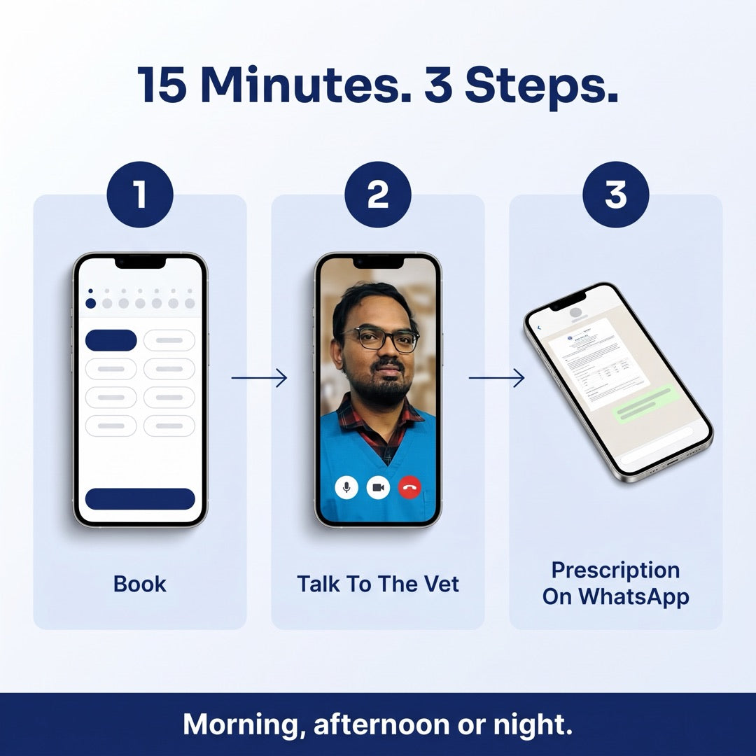 15 minutes, 3 steps: book, talk to the vet, prescription on WhatsApp. Morning, afternoon or night.