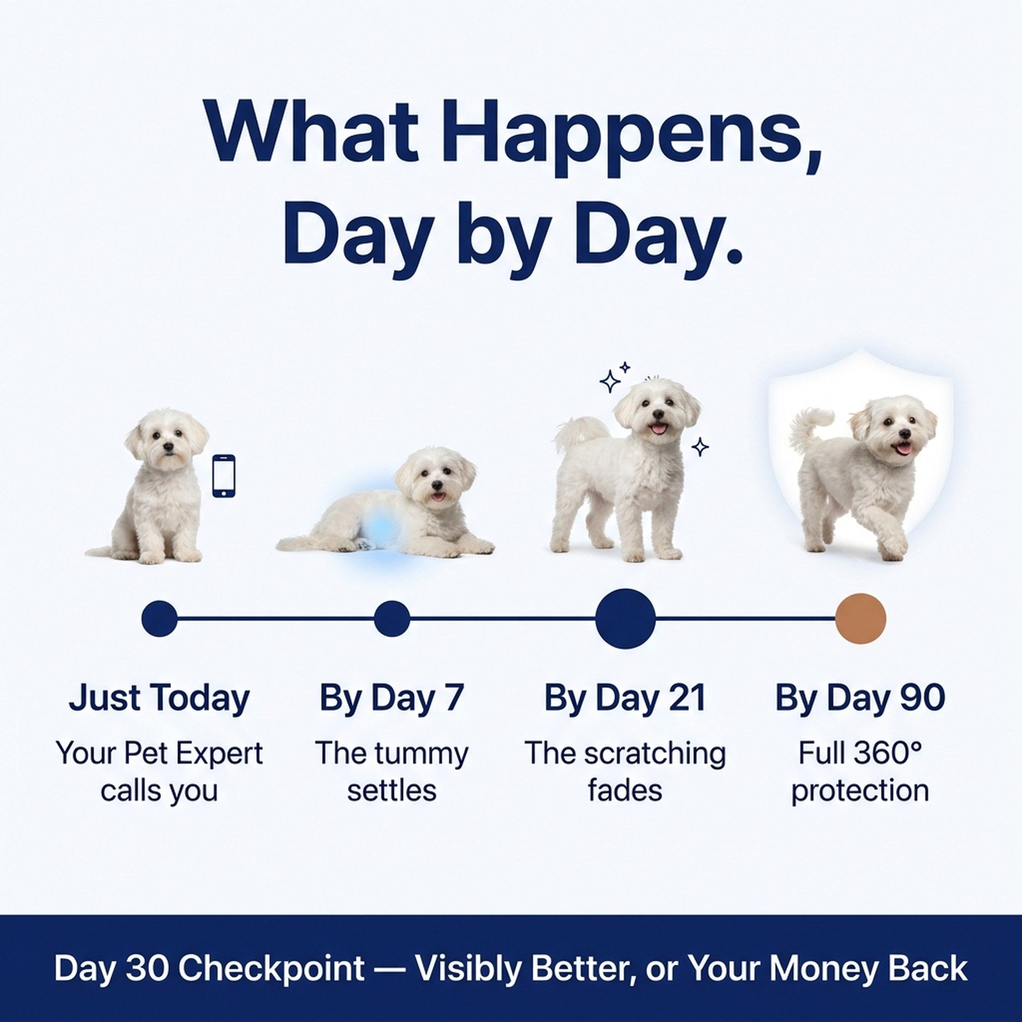 What happens day by day — today your Pet Expert calls, Day 7 the tummy settles, Day 21 the scratching fades, Day 90 full 360° protection